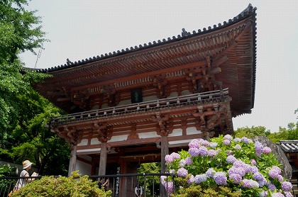 c0229483_1153068.jpg