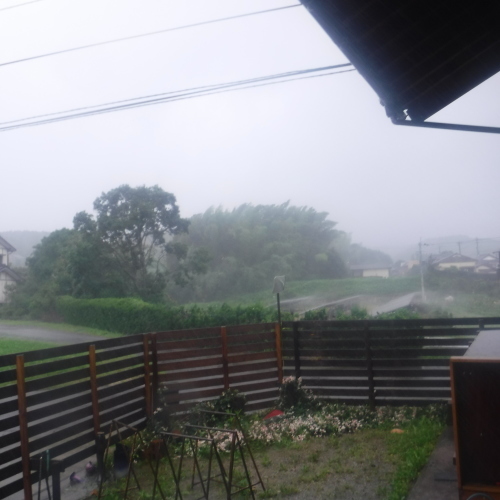 台風通過中の作業_d0195183_19491293.jpeg