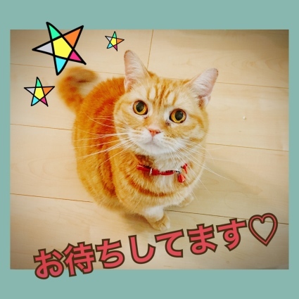 7月お休みのお知らせ☆_d0178587_00595042.jpeg