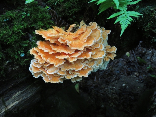 f0357487_21283467.jpg