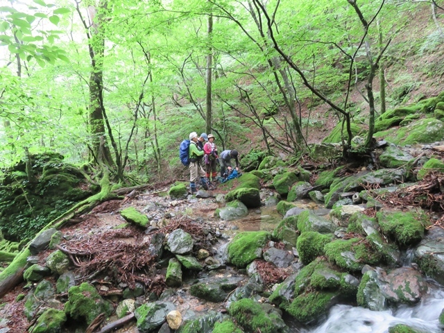 f0357487_21323381.jpg
