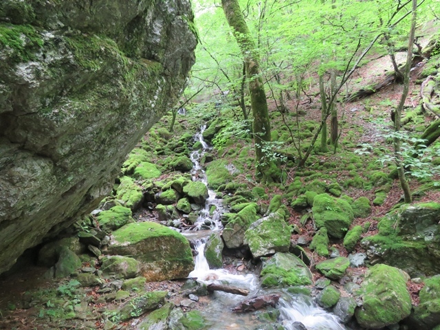 f0357487_21325461.jpg