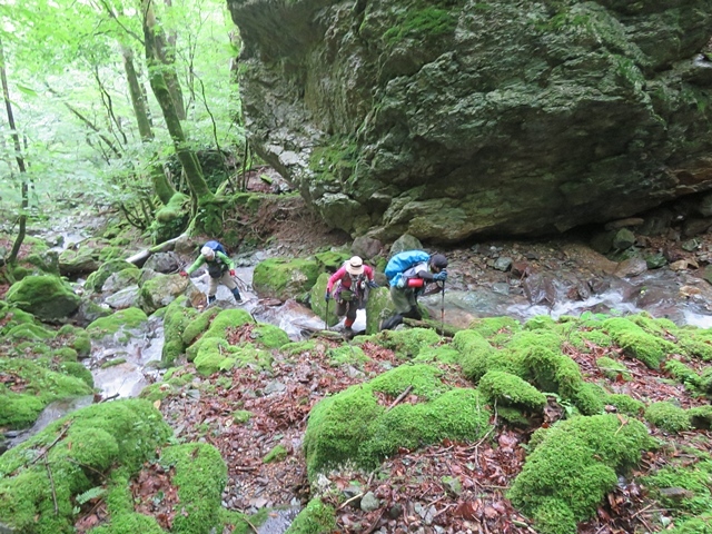 f0357487_21331286.jpg