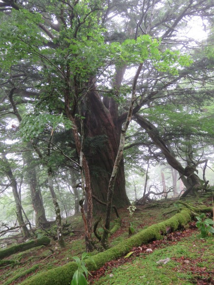f0357487_21410678.jpg