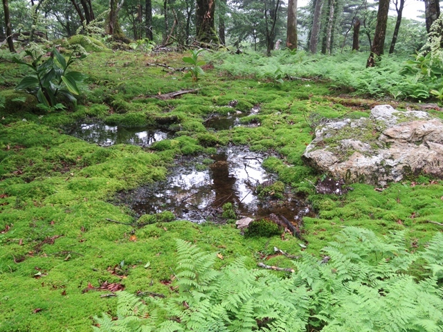 f0357487_21434162.jpg