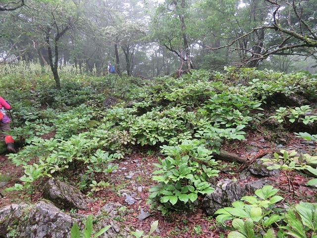 f0357487_21474961.jpg