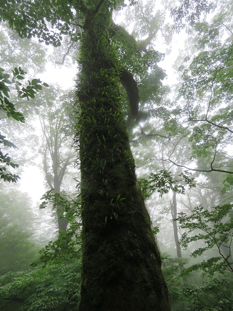 f0357487_21501629.jpg