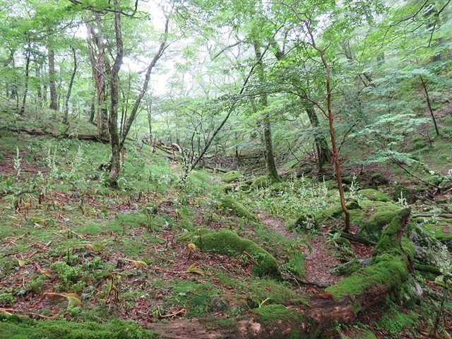 f0357487_21534671.jpg