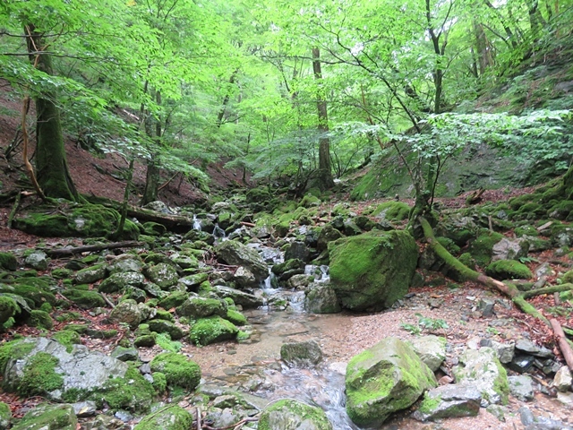 f0357487_21581223.jpg