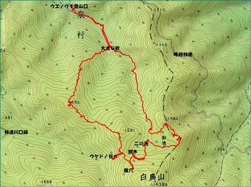 f0357487_22030996.jpg