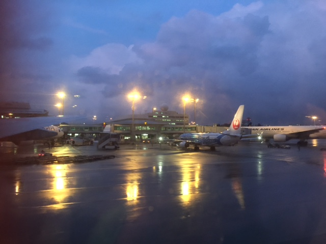 c0064389_2052173.jpg