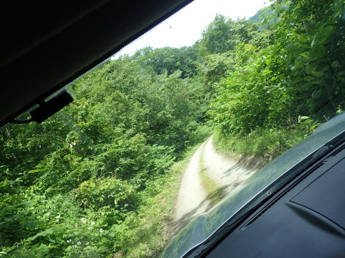 e0241691_21565459.jpg