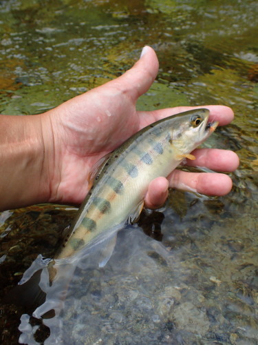 e0241691_22095611.jpg