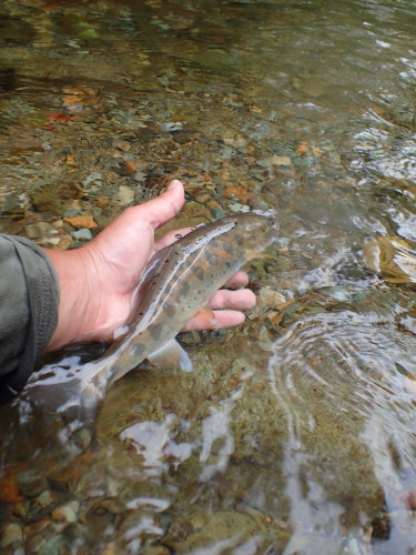 e0241691_22165633.jpg