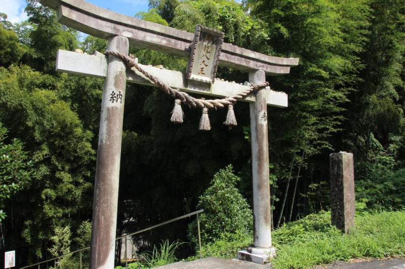 不思議なご縁の龍神様 菊如徒然 不思議なご縁の龍神様 菊如徒然
