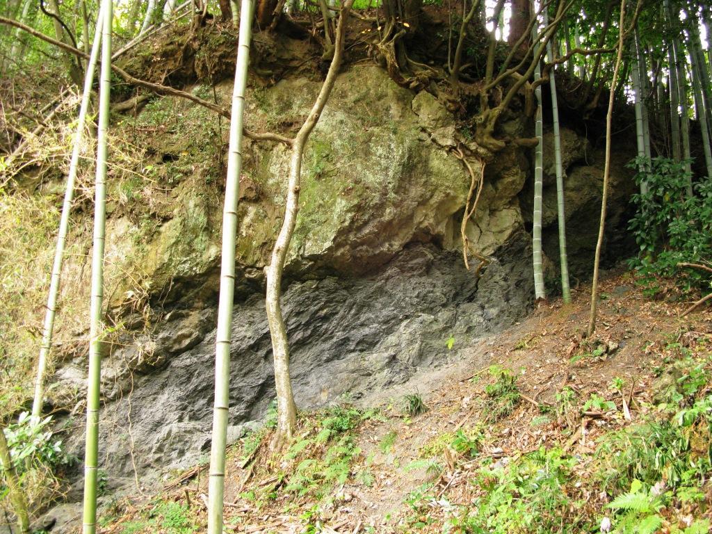 新城市の地質百選紹介 23 中央構造線長篠露頭 鳳来寺山自然科学博物館友の会のページ 新城市の地質百選紹介 23 中央構造線長篠露頭 鳳来寺山自然科学博物館友の会のページ