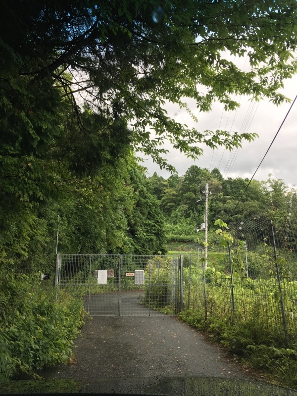 b0220002_21203901.jpeg