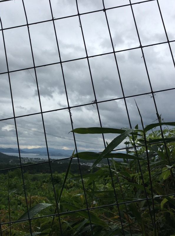 b0220002_22395724.jpeg