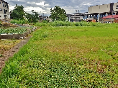 c0336902_22033901.jpg