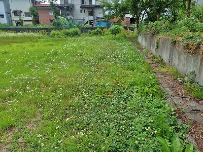 c0336902_22034411.jpg