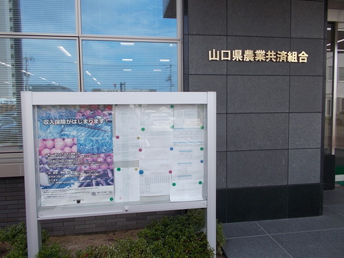 c0192503_20565999.jpg