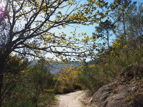 c0212604_221016.jpg