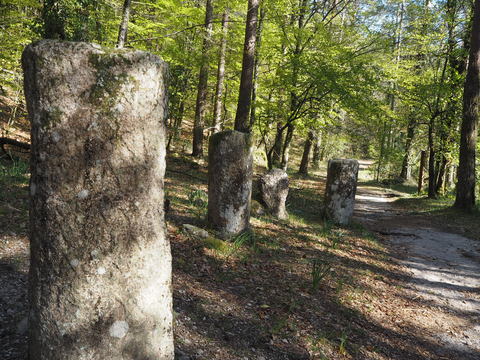 c0212604_22205168.jpg