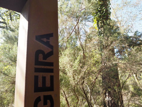 c0212604_22254960.jpg