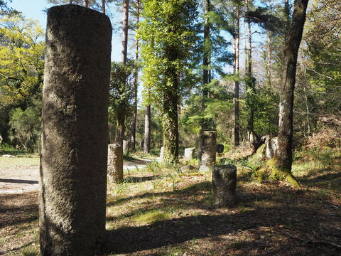 c0212604_22313621.jpg