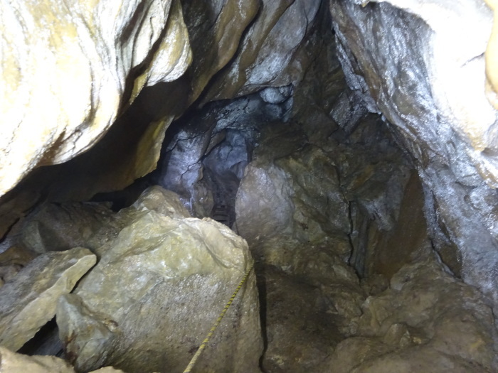 猿田洞（さるたどう）　ここは凄かった　高知県の洞窟探検_b0124306_00001564.jpg