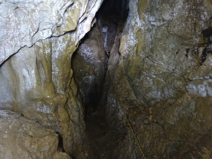 猿田洞（さるたどう）　ここは凄かった　高知県の洞窟探検_b0124306_00021386.jpg