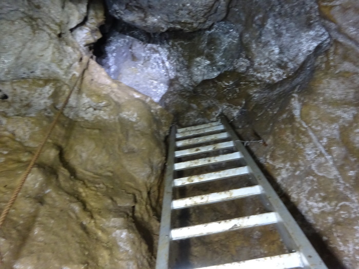 猿田洞（さるたどう）　ここは凄かった　高知県の洞窟探検_b0124306_00240748.jpg