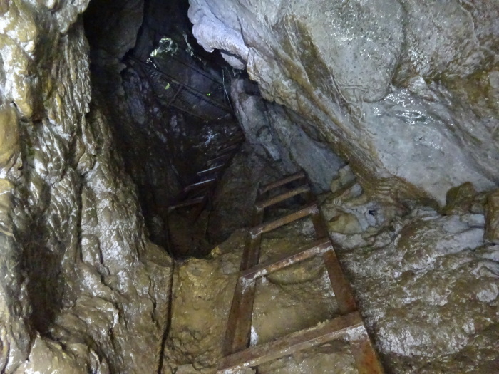 猿田洞（さるたどう）　ここは凄かった　高知県の洞窟探検_b0124306_00270401.jpg