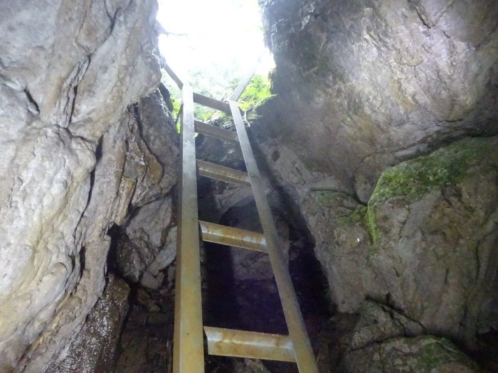 猿田洞（さるたどう）　ここは凄かった　高知県の洞窟探検_b0124306_00305391.jpg