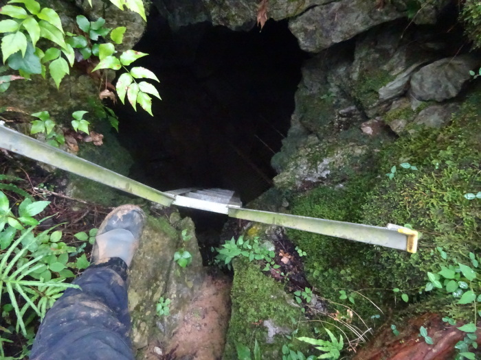 猿田洞（さるたどう）　ここは凄かった　高知県の洞窟探検_b0124306_00321482.jpg