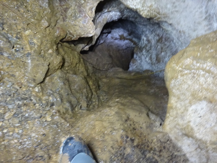 猿田洞（さるたどう）　ここは凄かった　高知県の洞窟探検_b0124306_15214696.jpg