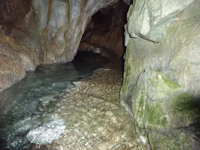 猿田洞（さるたどう）　ここは凄かった　高知県の洞窟探検_b0124306_16572471.jpg