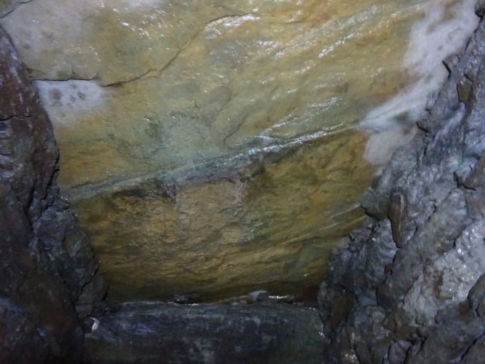 猿田洞（さるたどう）　ここは凄かった　高知県の洞窟探検_b0124306_17185290.jpg