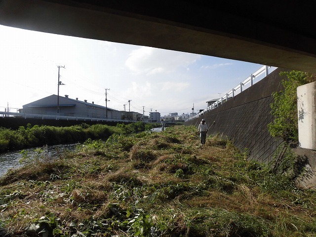 最後はバテバテ! 梅雨明けを思わせる暑さの中で「小潤井川 友の会」の草刈り清掃_f0141310_06425566.jpg