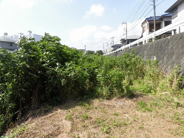 最後はバテバテ! 梅雨明けを思わせる暑さの中で「小潤井川 友の会」の草刈り清掃_f0141310_06433632.jpg