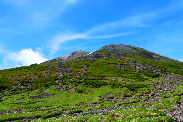 d0170615_18161827.jpg