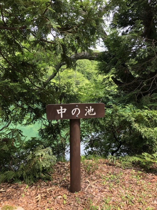 世界遺産白神山地 十二湖トレッキング_f0147821_17032839.jpeg