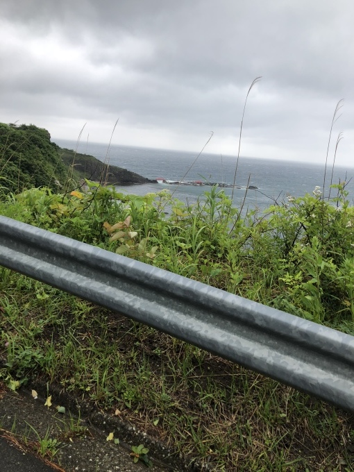 f0147821_21491527.jpeg