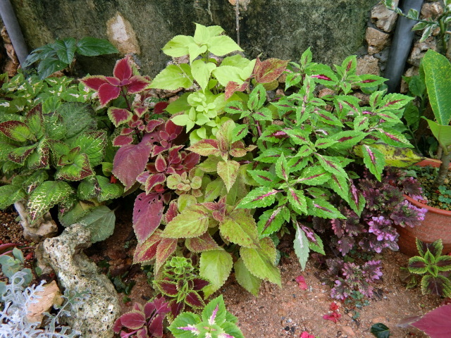 f0325326_16182509.jpg
