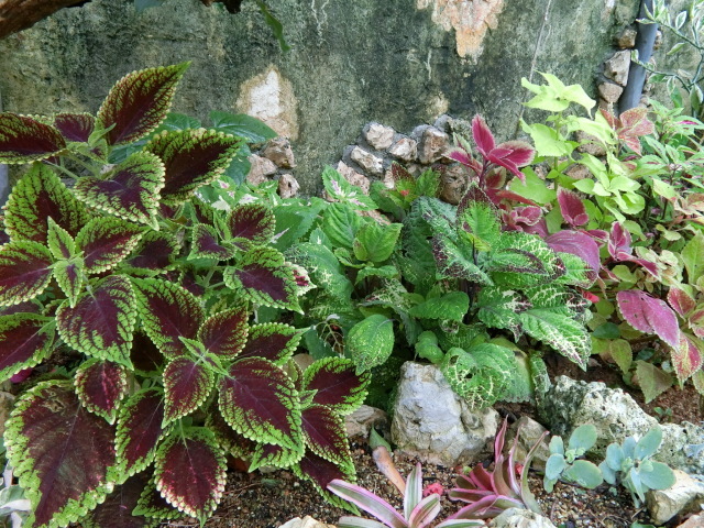 f0325326_16201436.jpg