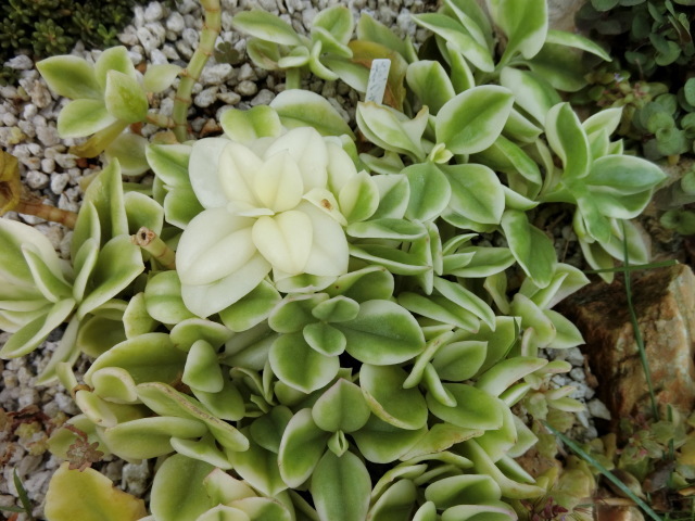 f0325326_16274641.jpg