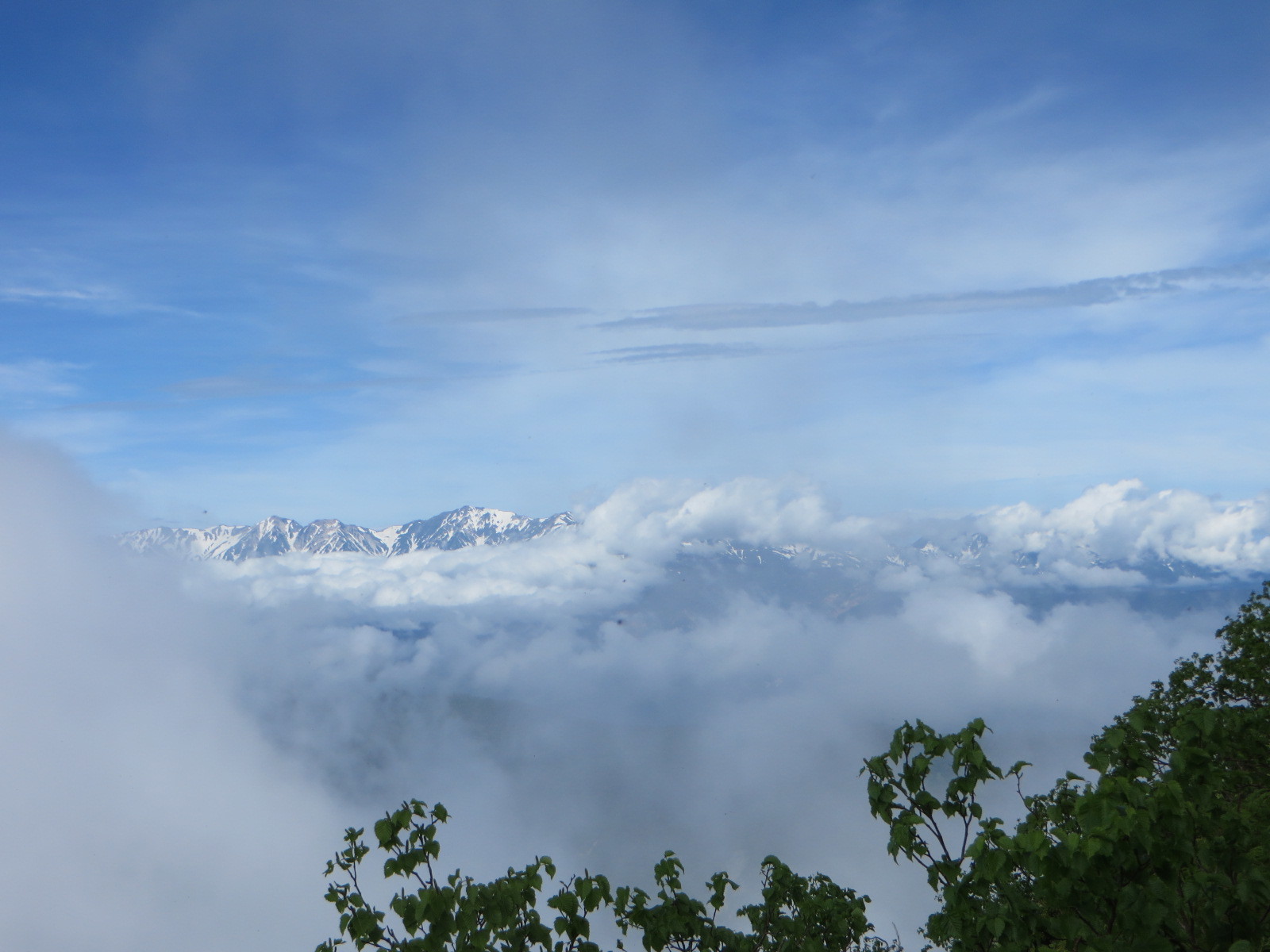 d0171229_09335826.jpg