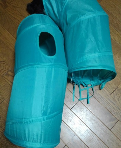 e0338831_00231691.jpg