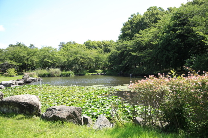 f0229832_08430727.jpg