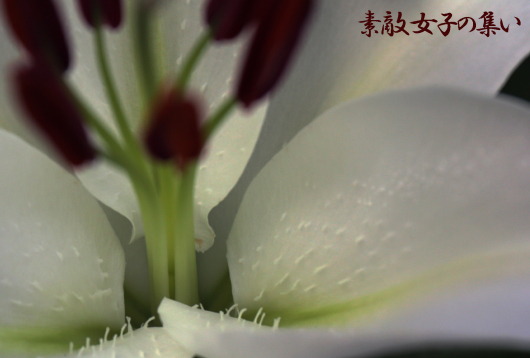 a0245136_13384758.jpg